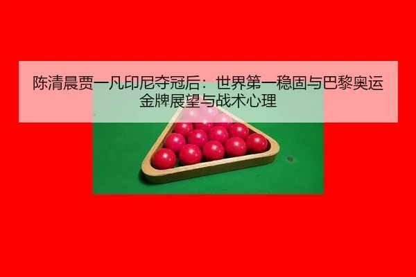 陈清晨贾一凡印尼夺冠后：世界第一稳固与巴黎奥运金牌展望与战术心理