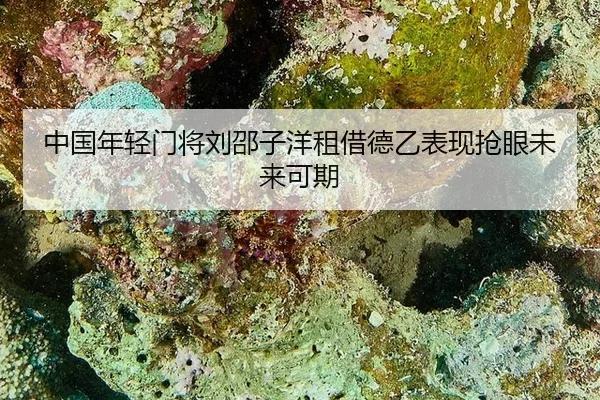 zhong-guo-nian-qing-men-jiang-liu-shao-zi-yang-zu-jie-de-yi-biao-xian-qiang-yan-wei-lai-ke-qi-2-385.jpg