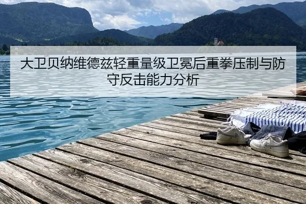 大卫贝纳维德兹轻重量级卫冕后重拳压制与防守反击能力分析
